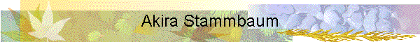 Akira Stammbaum