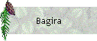 Bagira
