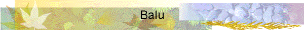 Balu