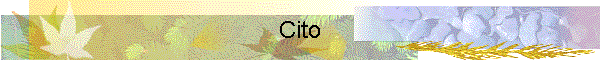 Cito