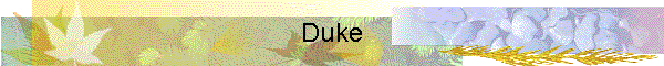 Duke