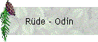 R�de - Odin