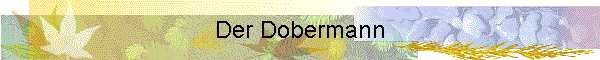 Der Dobermann