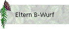 Eltern B-Wurf