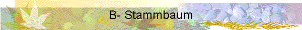 B- Stammbaum