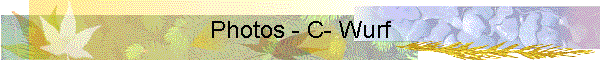 Photos - C- Wurf