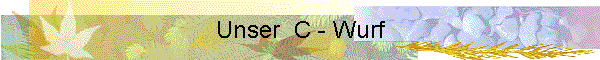 Unser  C - Wurf