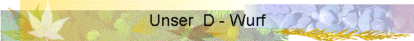 Unser  D - Wurf
