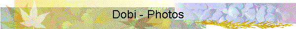 Dobi - Photos