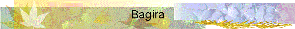 Bagira